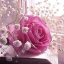 Dr.Manal Elkayal (@069f69ece09543d) Twitter