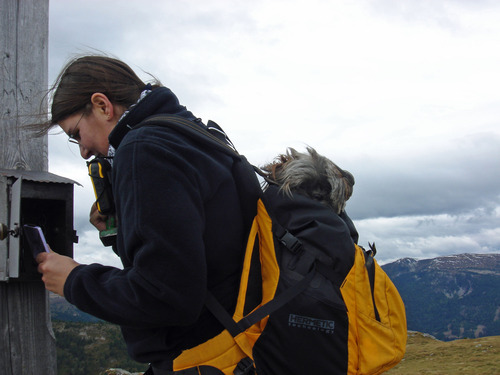 Clevershit's profile picture. Medizinfuchs, Tierlieb, Sport, Quad fahren, Gartengestaltung, 