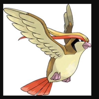 mega pidgeot plush