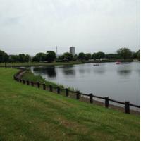 むき (@rsz5551) 's Twitter Profile