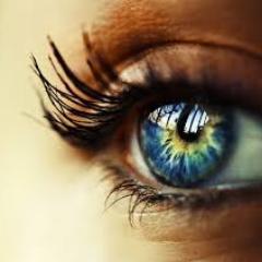 SALAHA141's profile picture.