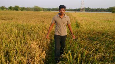 RajaDurai166's profile picture. 