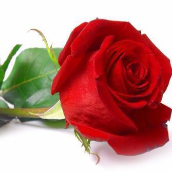 infoumroh67's profile picture. .mau tau info umroh murah
.program umroh menarik
hub;085322599567