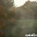 Gail Johnston - @TimberMoonHawk - Twitter