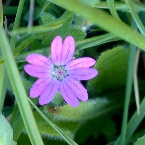 VisaQuick's profile picture. We can help you get a visa quickly. We are a diligent, trusted, reliable and proven. A bespoke service to help your business. We have a great track record