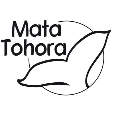 matatohora's profile picture. Association pour la protection des cétacés dans leur milieu naturel - Recherche - Sensibilisation - Communication 
Research-Conservation-pedagogy-cetaceans