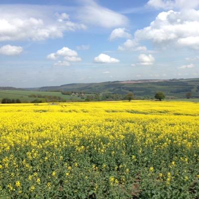 trv4n's profile picture. I am a Christian.                                                     I am inspired by the intricacies and eclecticism of horology.