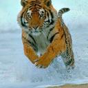 kannan( my life my r (@00bc3a31df24442) Twitter