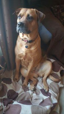 TheJohnPerrow's profile picture. just me and my ramblings