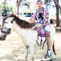ARBUDI (@putrawidian) 's Twitter Profile