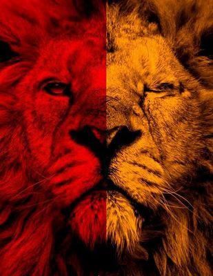 ankaya_mehmet's profile picture. TÜRKİYE    TÜRKİYE GALATASARAY         GALATASARAY