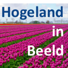 Hogeland in Beeld