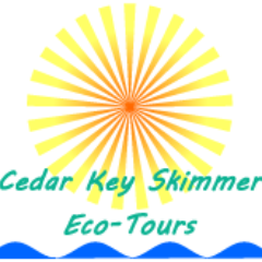 cedarkeyskimmer's profile picture. 