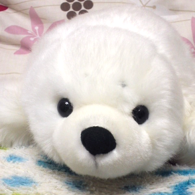 澄華さんのプロフィール画像