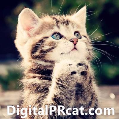 Largest and most advanced customised digital PR tool to locate influencers. MEOW.  Powered by @ClusterMath