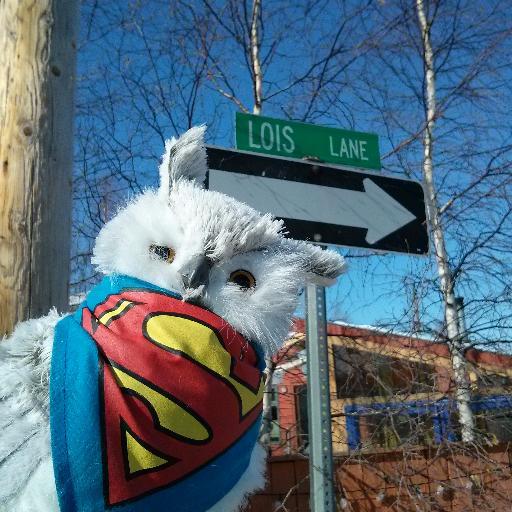 Luluz_Market's profile picture. 