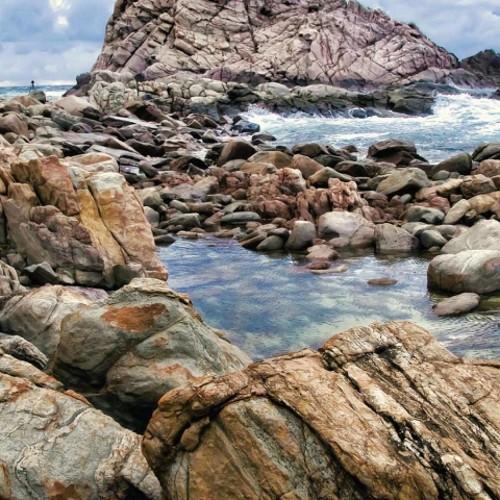 hamada_elseed's profile picture. Refree