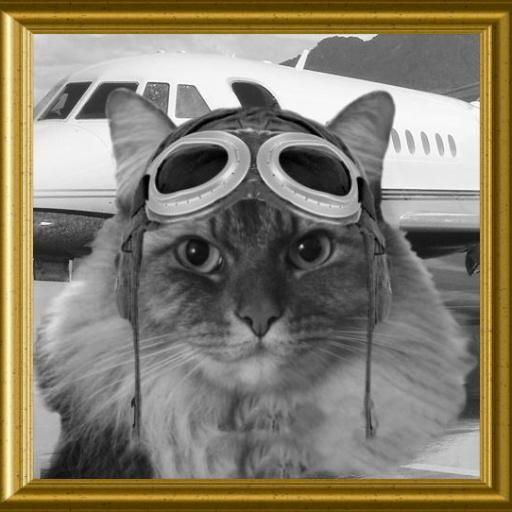 Proud Pet Parent to Kawa and Kiwi's remaining furbrothers | Kiwi (2000-2015) | Kawa (2000-2016) | #TheAviators