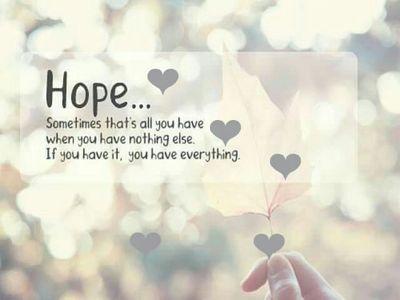 ShahJaladhi's profile picture. 