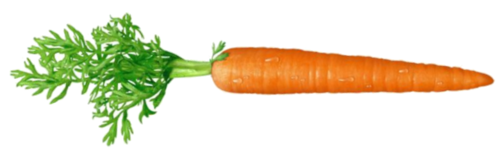 9carrotsUK's profile picture. Positive consumer action on climate change!