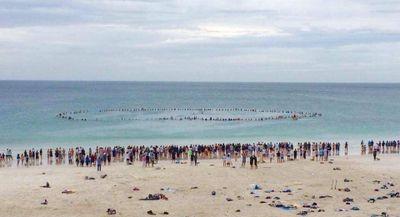 monty1019's profile picture. 