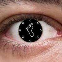 Obs Ciud Tlalpan (@obsciudtlalpan) 's Twitter Profile