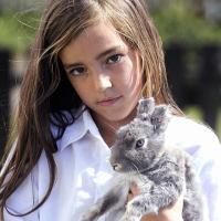 Emma Rose Cullen (@emmarosecullen) 's Twitter Profile