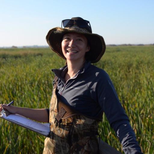 Associate Professor & Chair, Dept of Earth & Environmental Sciences, Cal State East Bay, land-atmosphere interactions, wetland restoration, climate change