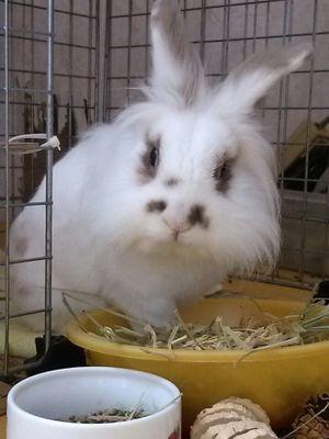 gweon7's profile picture. 