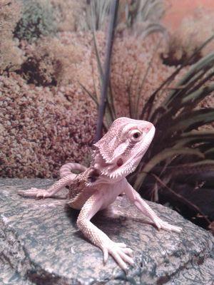 AmberOverbey's profile picture. 