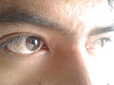 ferplas102771's profile picture. fernandhito