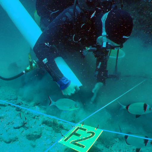 Professor of Maritime Archaeology | Diving Archaeologist | Cultural Heritage Advocate | On Kaurna Country | wendy.vanduivenvoorde@flinders.edu.au