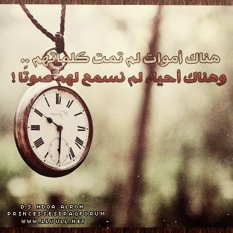 bidbid2002's profile picture. نطلُّ على الحياة .. من شرفة الأمل !! 
Java Coder