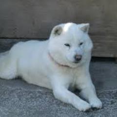 yushi4848's profile picture. 北海道から、たまーにつぶやきます…