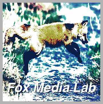 FoxMedia's profile picture. Technologist, Futurist, Humanist