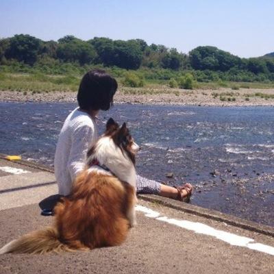 hanatanmantan's profile picture. 