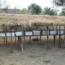 JOYCE PATRICK TANO - @joycetano - Twitter