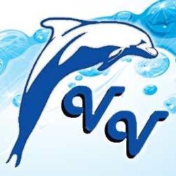 vvswimclub's profile picture. 