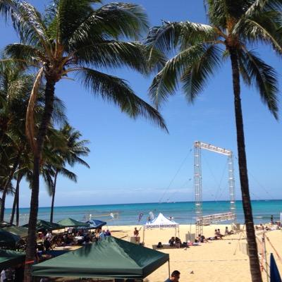 study_acount555's profile picture. よろしく