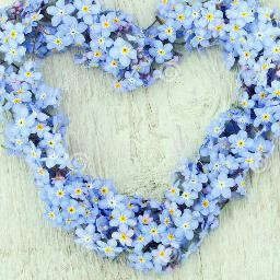 katerina_mavro's profile picture. 