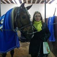 anne saarikettu(@EqueesAmazin) 's Twitter Profile Photo