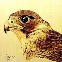 salah10390's profile picture. 