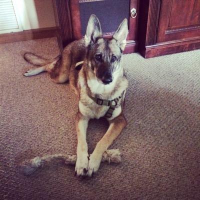 TaraWasko's profile picture. 