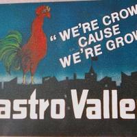 Castro Valley News(@CastroValleyTV) 's Twitter Profile Photo