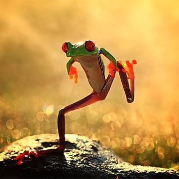 Follow us as we share stunning pics from all corners of earth.