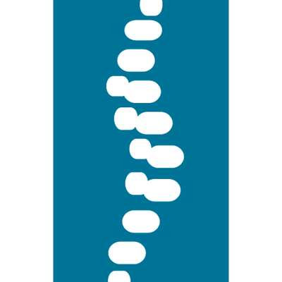 Vision:That every Newfoundlander and Labradorian will have access to a Chiropractor as part of their healthcare team without financial or other barrier by 2020