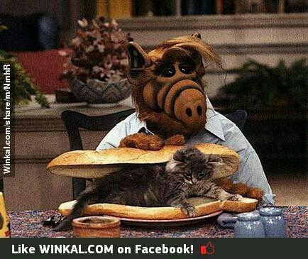 1972Marzo's profile picture. 