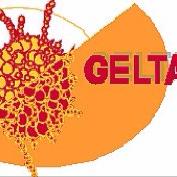 GELTAMO (@geltamo) 's Twitter Profile