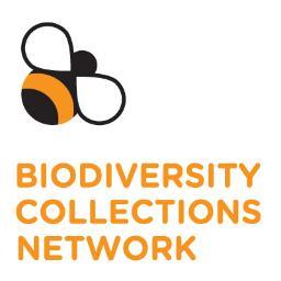 BioCollNetwork Profile Picture