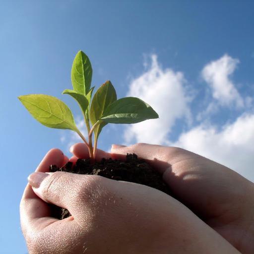 NatArg457's profile picture. 